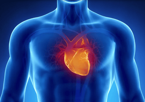 PEMF Therapy: A Breakthrough in Cardiovascular Health