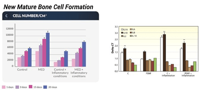 Pulsed electromagnetic fields increase osteogenetic commitment of MSCs via the mTOR pathway in TNF-α mediated inflammatory conditions: an in-vitro study
